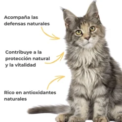 Propóleo ECO para perros y gatos – Defensas naturales – 100 g