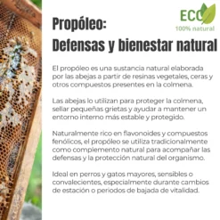 Propóleo ECO para perros y gatos – Defensas naturales – 100 g