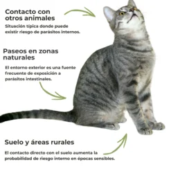 Protección intestinal ECO para perros y gatos – Lombrices y parásitos internos – 100 g