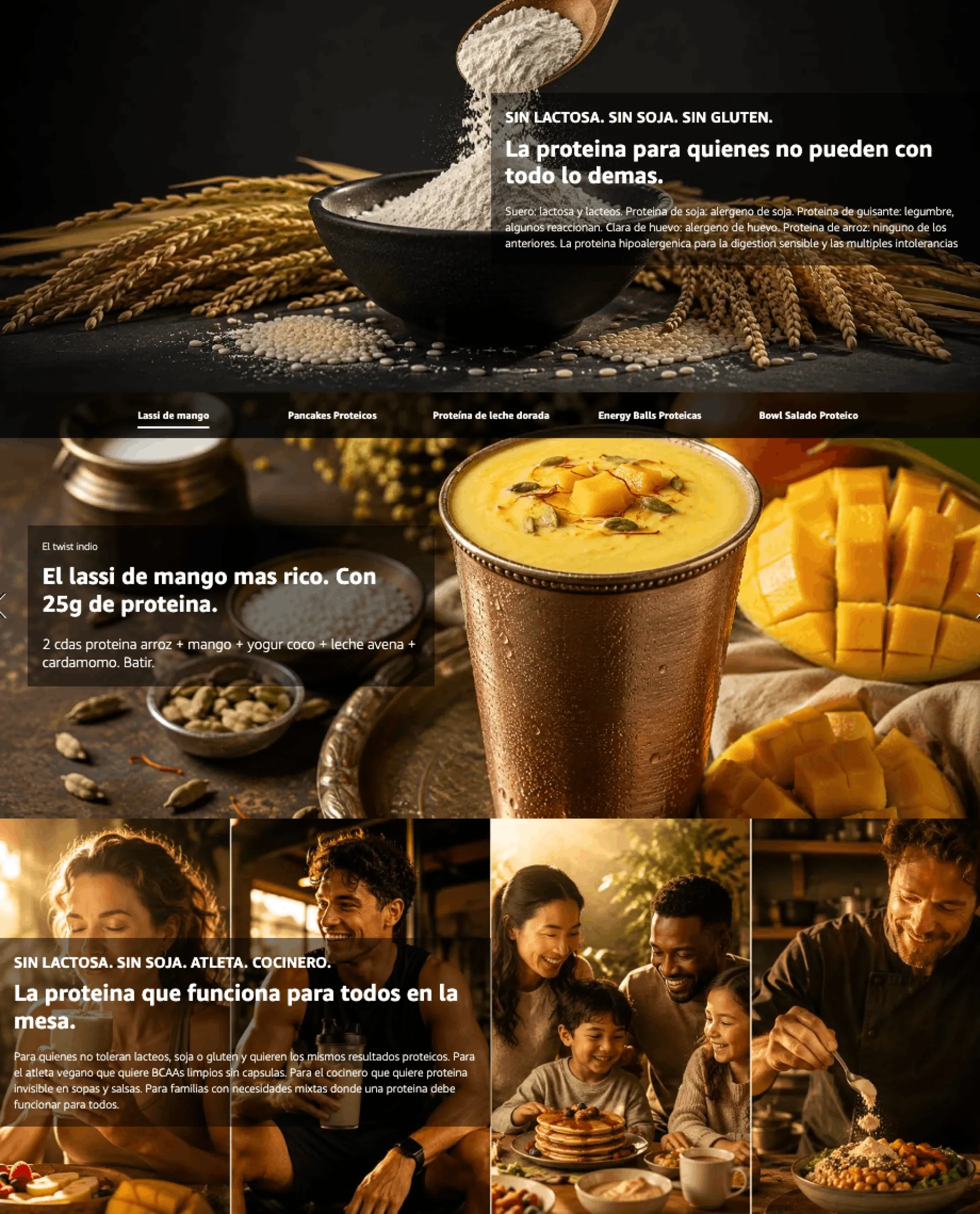 Proteína De Arroz fermentado BIO - 500g | Proteína Vegetal En Polvo Vegana Para Batidos Y Repostería Samskara