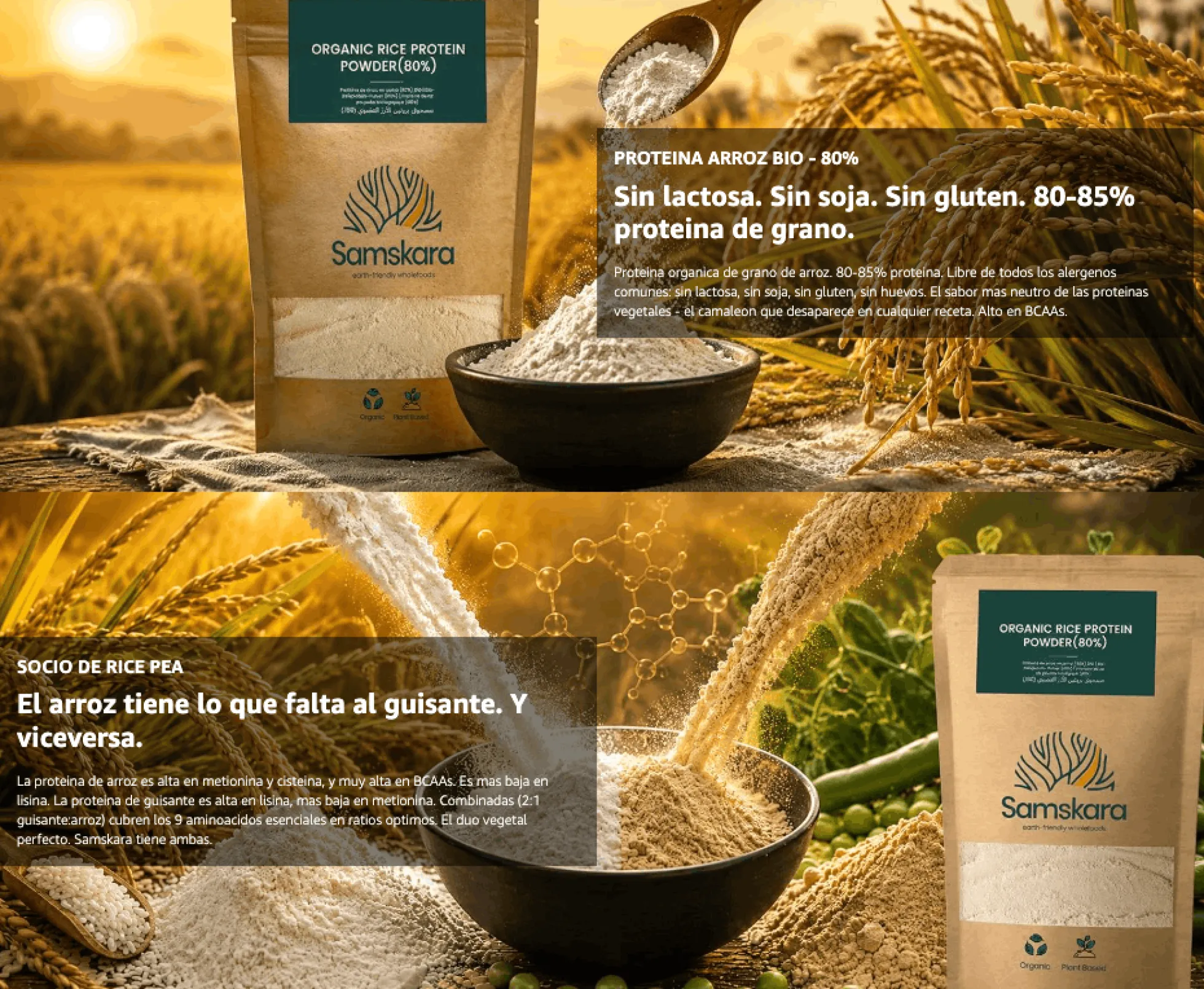 Proteína De Arroz fermentado BIO - 500g | Proteína Vegetal En Polvo Vegana Para Batidos Y Repostería Samskara