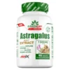 Provegan Astragalus Extract 90 Tab