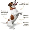 Psyllium ECO para perros y gatos – Tránsito intestinal – 300 g