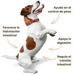 Psyllium ECO para perros y gatos – Tránsito intestinal – 300 g