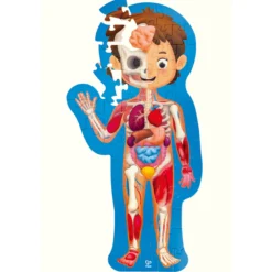 Puzzle 60pzas Human Body Hape
