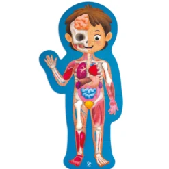 Puzzle 60pzas Human Body Hape