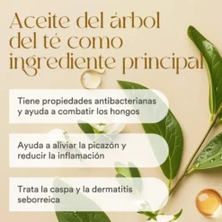 QKnatur - Champú Aceite Del Árbol Del Té 250 Ml. Elimina Caspa. Para El Picor Y La Irritación. Cuero Cabelludo Sensible
