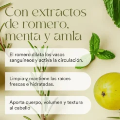QKnatur - Champú Con Extracto De Romero 250 ml. Con Activos Para Fortalecer Y Reparar. Cabello Fino O Dañado