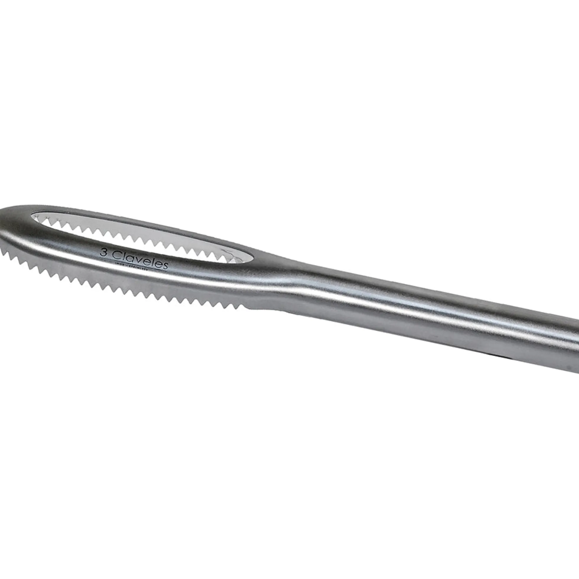 Quita Escamas Profesional Acero Inoxidable - 27 Cm