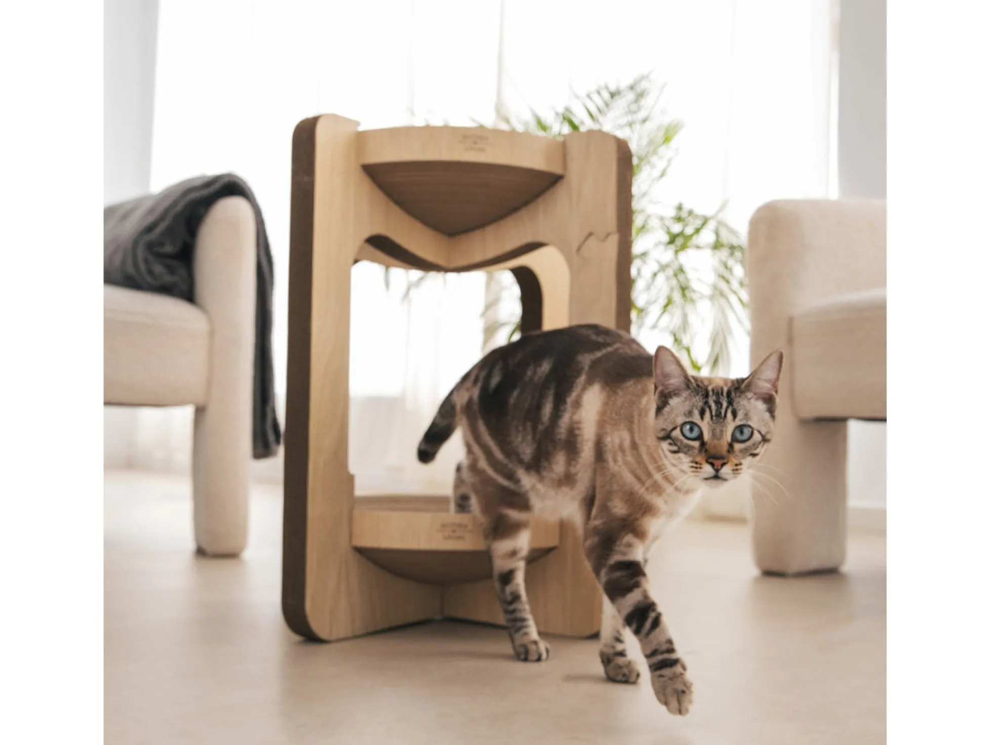 Rascador Torre Para Gatos.