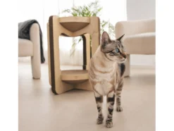Rascador Torre Para Gatos.