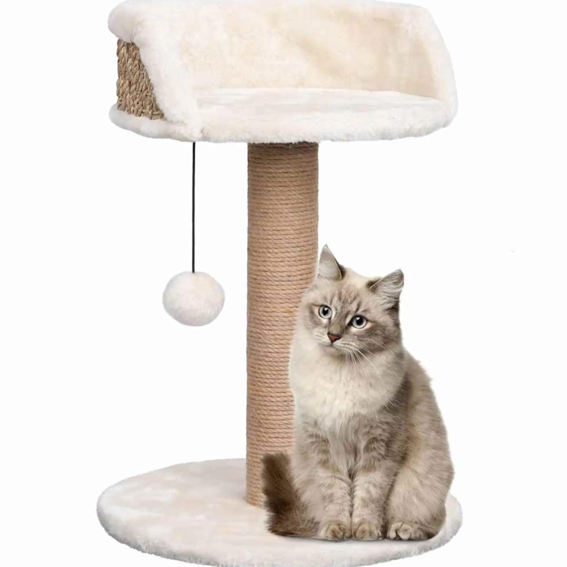 Árbol Para Gatos Con Poste Rascador Hierba Marina 49 Cm