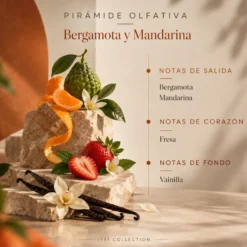 Recambio Mikado Bergamota y Mandarina SYS Aromas 200 ml | Con Palos | Colección 1991 | Aroma Cítrico y Herbal