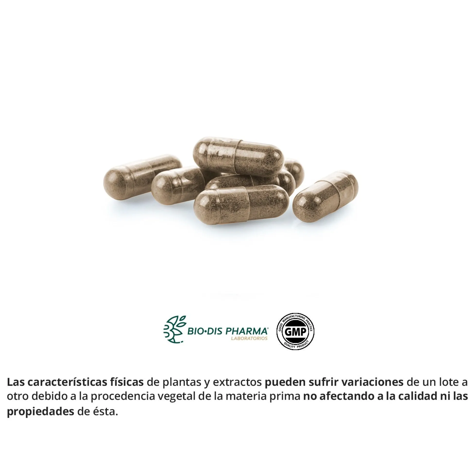 Reishi ( Micelio ) 400 Mg Nature Essential 50 Cápsulas