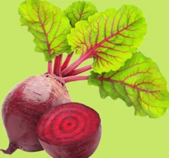 Remolacha En Polvo Bio - 250g | Superalimento Ecológico Vegano En Polvo Para Batidos Y Repostería, Sin Gluten