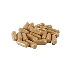 Repelente Garrapatas natural AniForte 60 caps Perros +35 kg