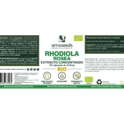Rhodiola Rosea Bio, Extracto Concentrado | 90 Cápsulas