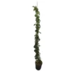 Rosal Trepador Landora M20 180cm (amarillo)