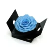 Rosmelia Azul Claro De 12cm Preservada