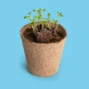 Salvemos a las Abejas – Kit Flores Melíferas con Bomba de Semillas, Regalo Educativo - Resetea
