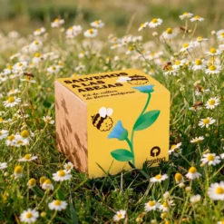 Salvemos a las Abejas – Kit Flores Melíferas con Bomba de Semillas, Regalo Educativo - Resetea