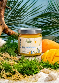 Sea Moss Gel Mango 500 ml