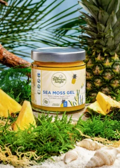 Sea Moss Gel Piña 500 ml