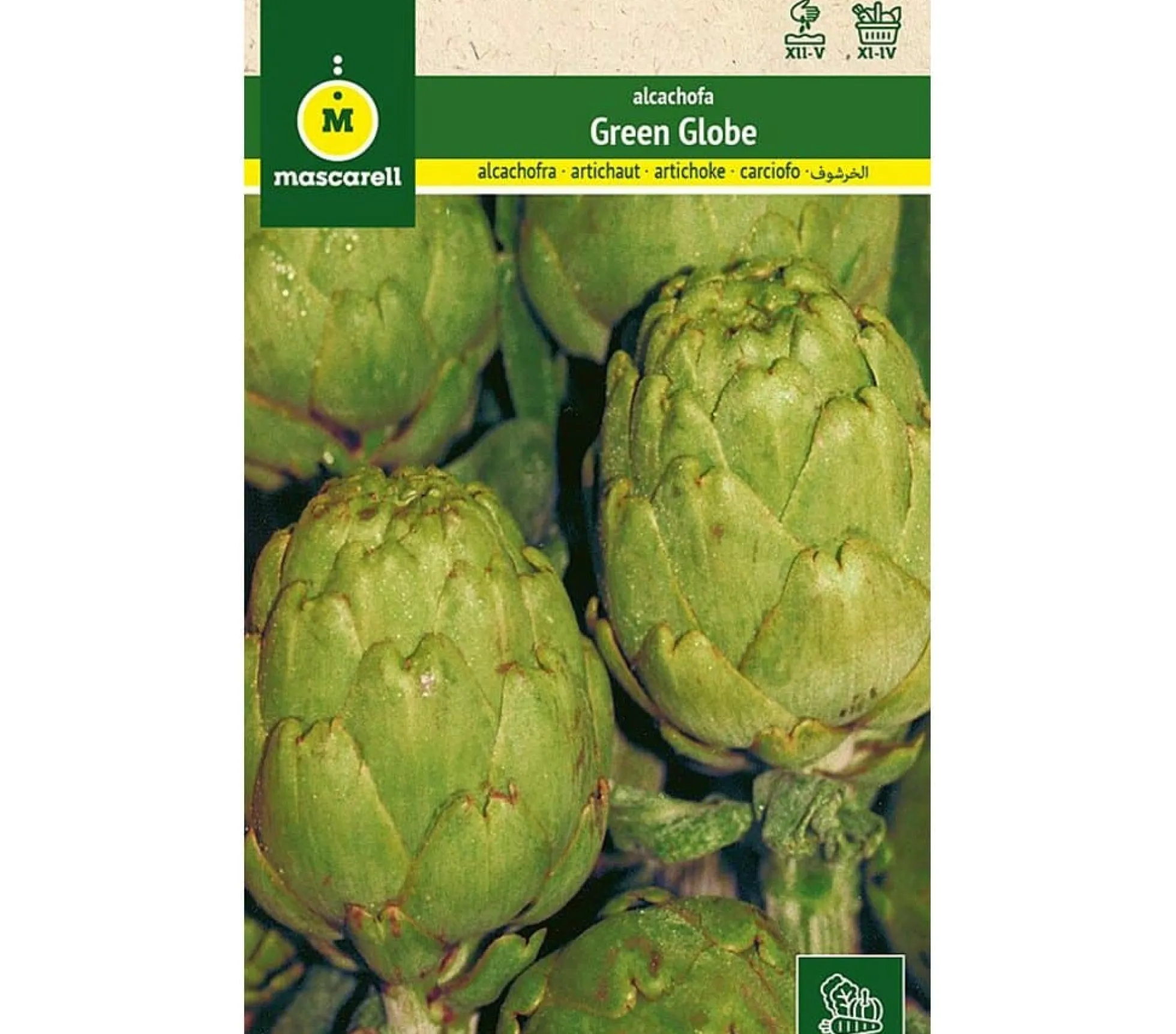 Semilla Alcachofa Verde Globo