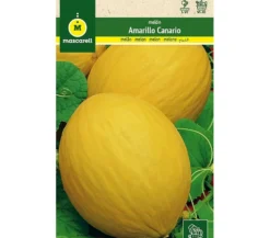 Semilla Melón Amarillo Canario