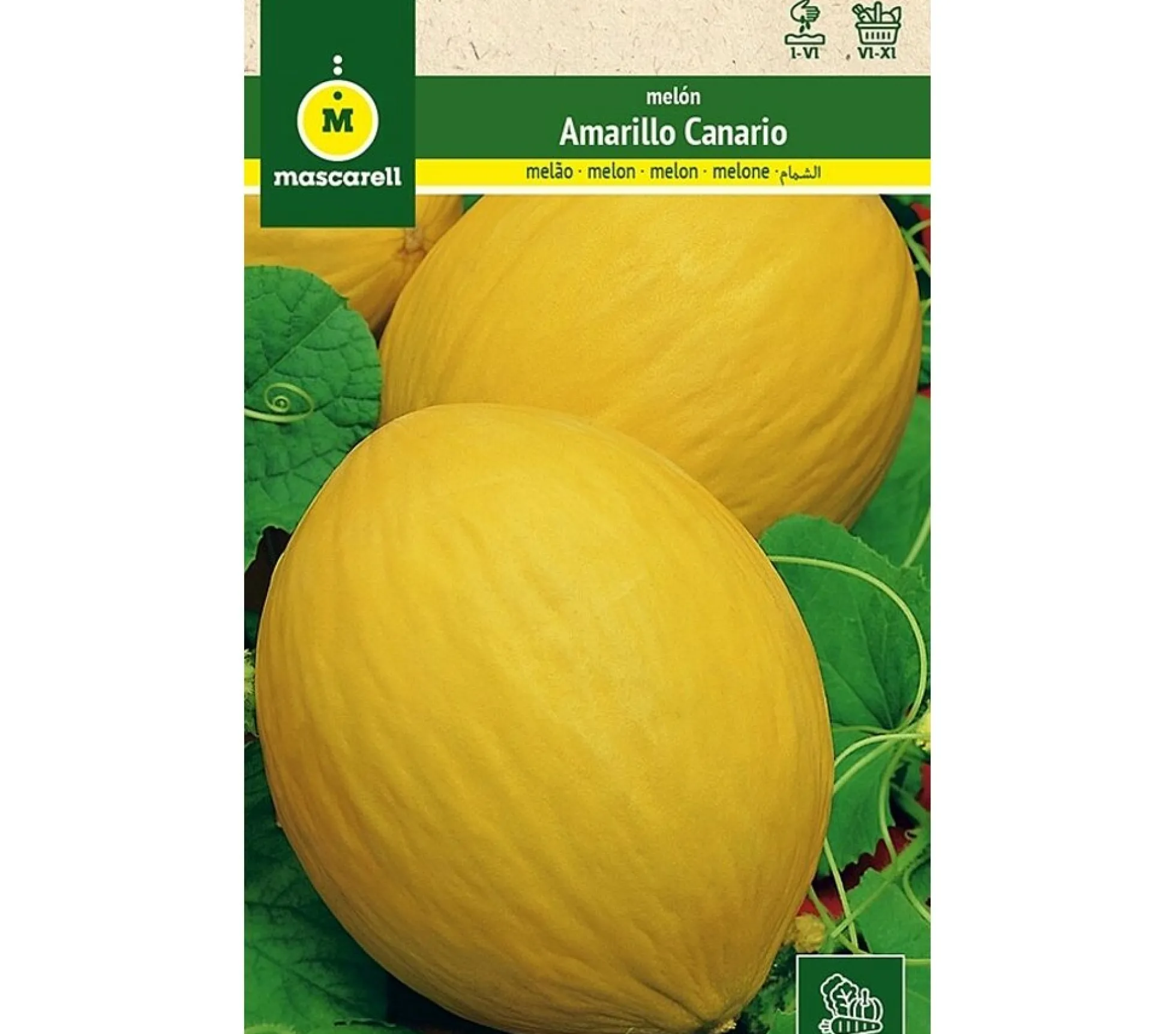 Semilla Melón Amarillo Canario