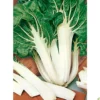 Semillas Acelga Verde Penca Blanca Ancha