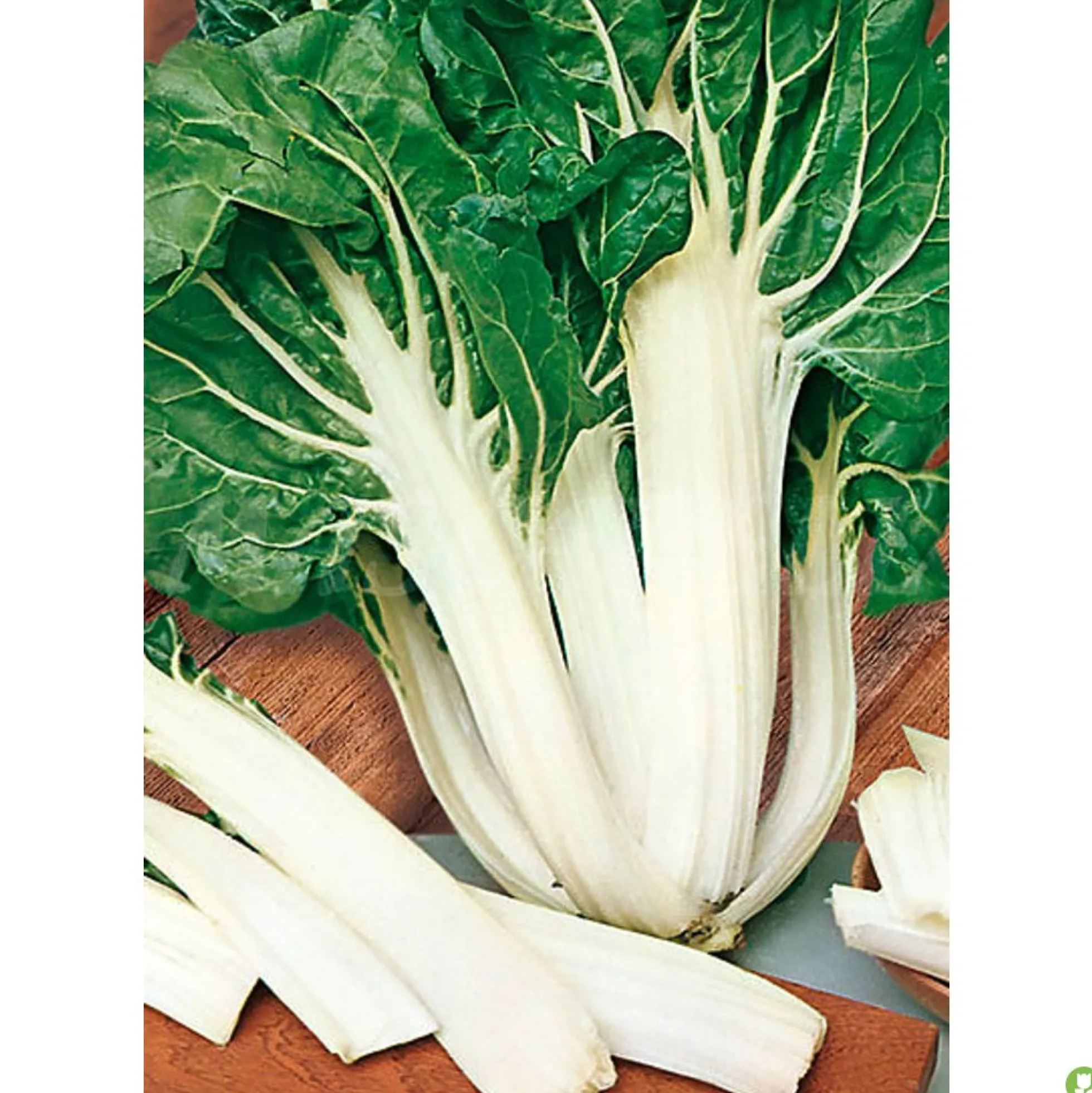 Semillas Acelga Verde Penca Blanca Ancha