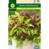 Semillas Albahaca Canela (cinnamon)