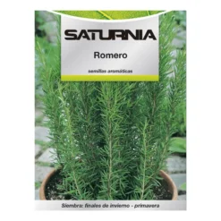 Semillas Aromaticas Romero (0.1 Gramos) Horticultura, Horticola, Semillas Huerto.