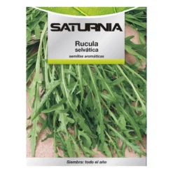 Semillas Aromaticas Rucula Selvatica (2.5 Gramos) Horticultura, Horticola, Semillas Huerto.