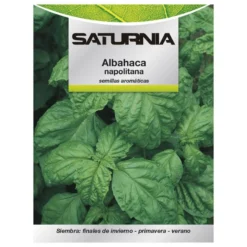 Semillas Aromáticas Albahaca Gigante (5 Gramos) Horticultura, Horticola, Semillas Huerto.