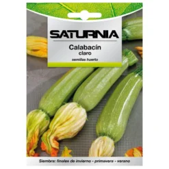 Semillas Calabacin Verde Oscuro (5 Gramos) Semillas Verduras, Horticultura, Horticola, Semillas Huerto.