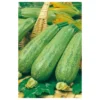 Semillas Calabacín Genovés