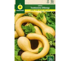 Semillas Calabaza Trombocino D'albenga