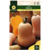 Semillas Calabaza Violin (butternut)