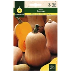 Semillas Calabaza Violin (butternut)