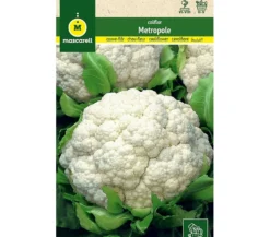 Semillas Coliflor Metropole
