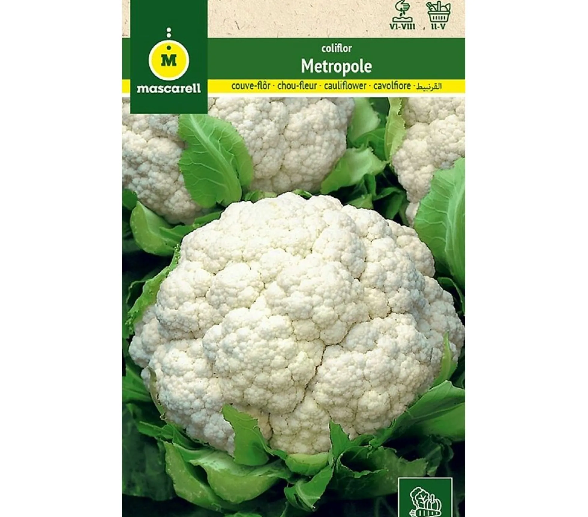 Semillas Coliflor Metropole