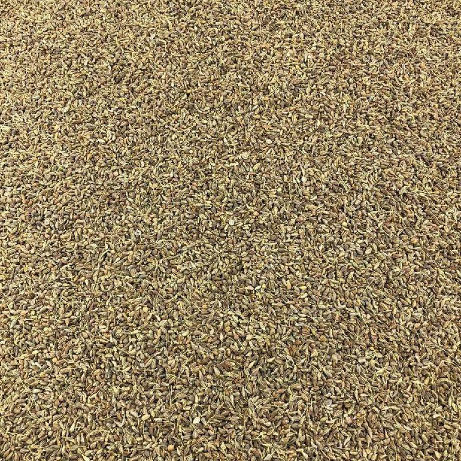 Semillas De Anis Verde Bio Granel 0,125 Kg