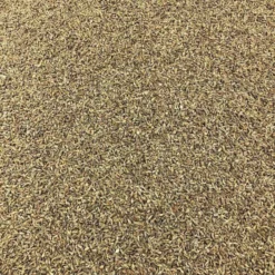 Semillas De Anis Verde Bio Granel 1 Kg