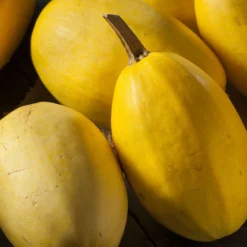 Semillas De Calabaza Spaghetti Ecológicas