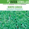 Semillas De Cesped Kikuyu Grass Caja De 1 Kg.