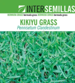 Semillas De Cesped Kikuyu Grass Caja De 1 Kg.