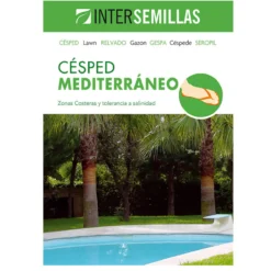 Semillas De Cesped Mediterraneo Caja 1 Kg.