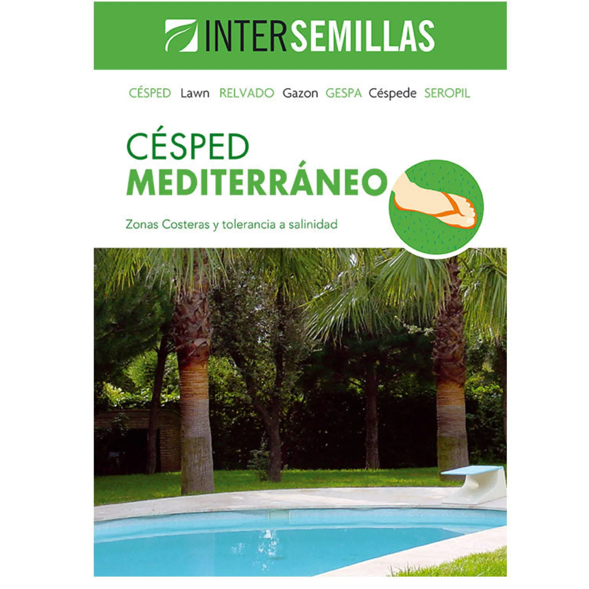 Semillas De Cesped Mediterraneo Caja 1 Kg.
